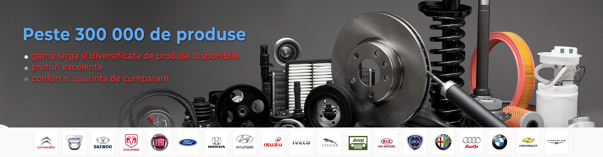 Piese auto online